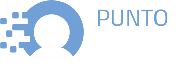 Logo Punto digitale facile
